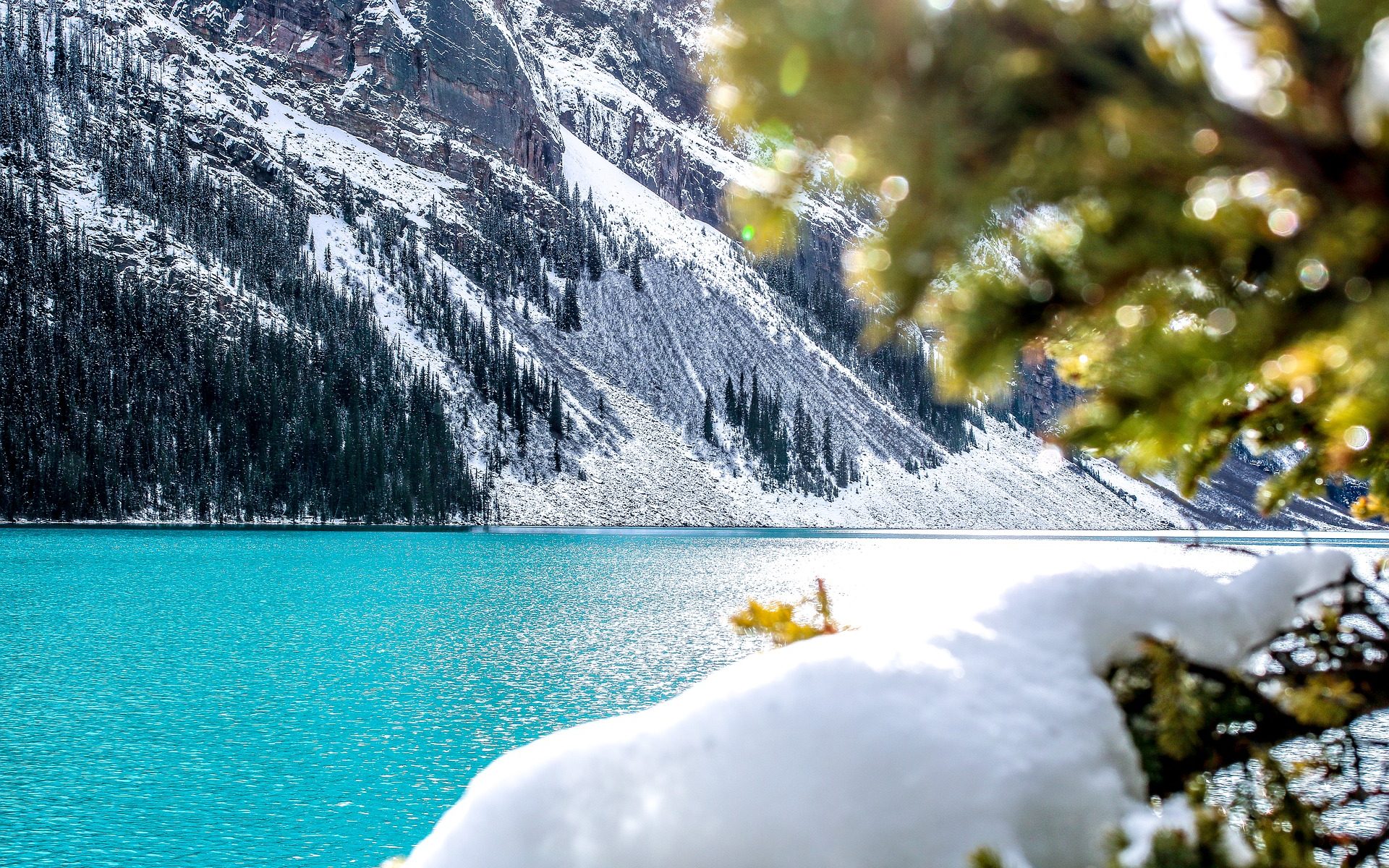 Whistler